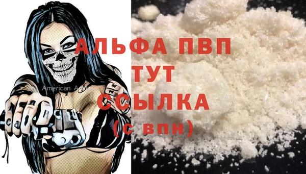 спиды Карталы