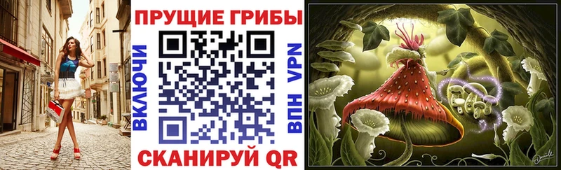 Галлюциногенные грибы мухоморы Называевск